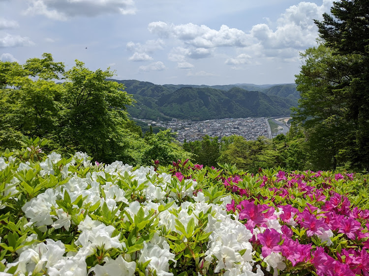 の投稿画像6枚目