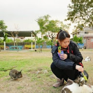 蕭家大院兔子親子餐廳