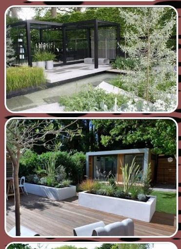 Backyard Landscape Design