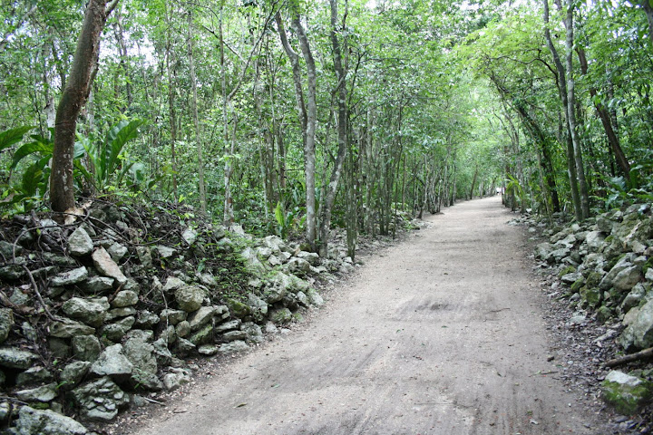 Cobá - Riviera Maya 2009 (1)