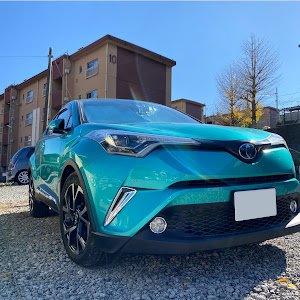 C-HR ZYX10