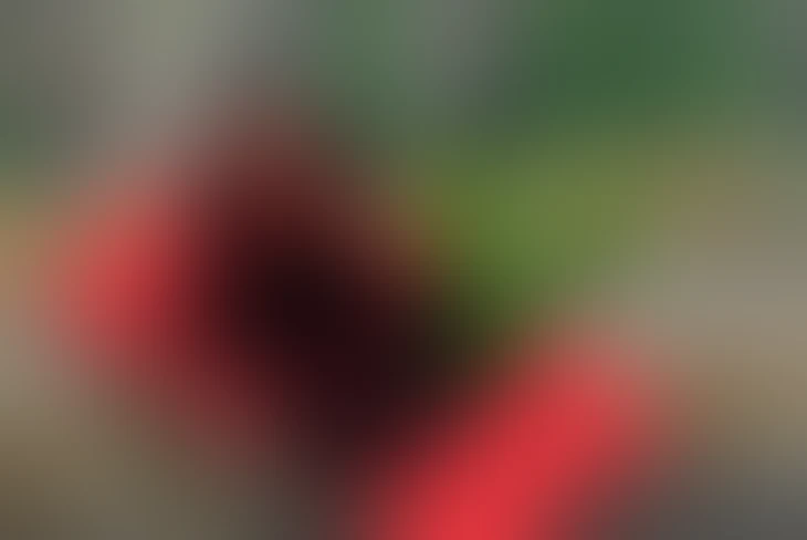 「ゆあじゃぱ（🍗×🦖」のメインビジュアル