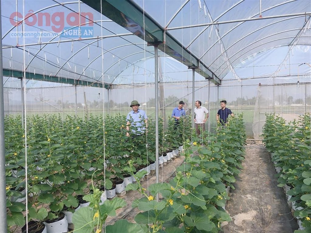 Cần tập trung phát triển nhanh các vùng sản xuất                       nông nghiệp ứng dụng công nghệ cao theo định hướng,             quy hoạch đã được phê duyệt