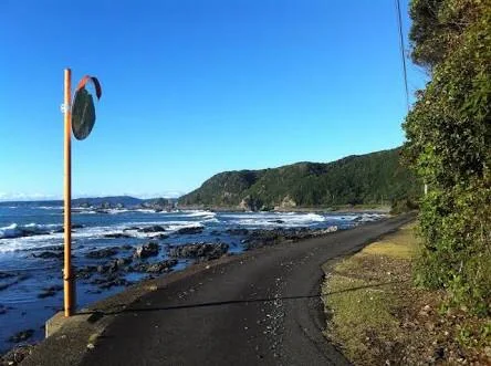 「帰り道     「刺身編」」のメインビジュアル