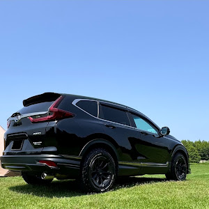 CR-V RT6