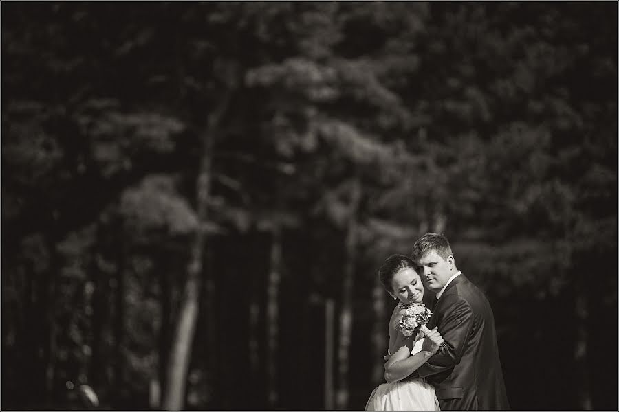 Vestuvių fotografas Sergey Nikitin (medsen). Nuotrauka 2013 kovo 1