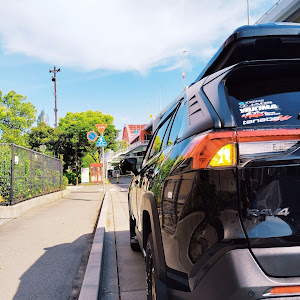 RAV4 MXAA54