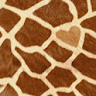 Mon Amour De Girafe Wallpaper icon