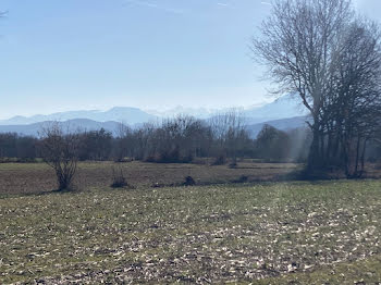 terrain à Les Tourreilles (31)