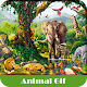 Download Animal GIF 2017 For PC Windows and Mac 1.0