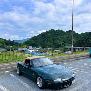 ロードスター NA8C