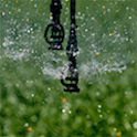 Nutrients in Irrigation Water icon
