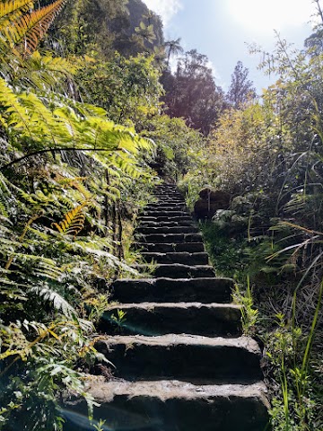 Pinnacles Walk Kauaeranga Kauri Trail The Rock Staircase