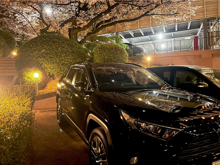 RAV4のサクラと愛車・桜とコラボ・SAKURAV4に関するカスタム事例の投稿画像2枚目