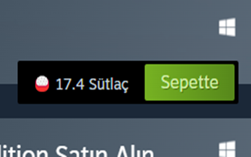 Steam Türk Lirasına Çevirme