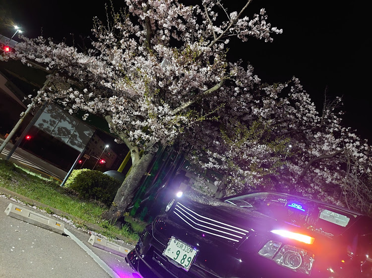 ヴォクシーのbB・桜とコラボ🌸・夜桜に関するカスタム事例の投稿画像1枚目