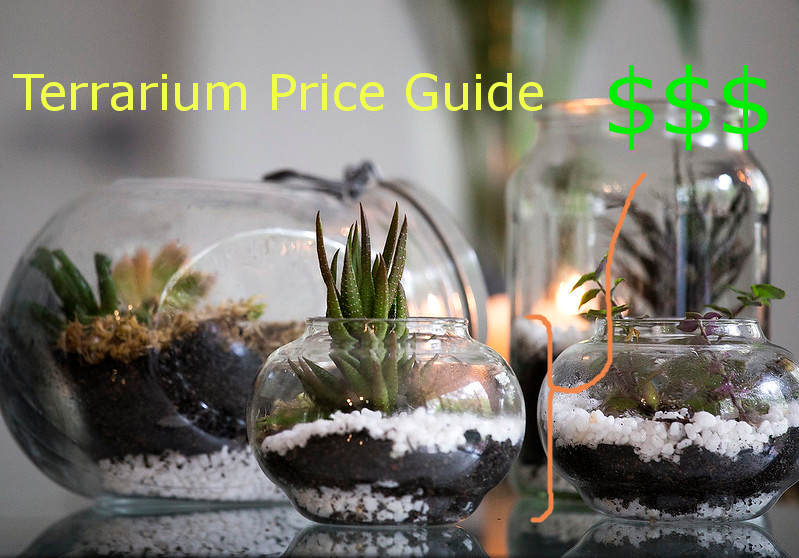 terrarium price crypto