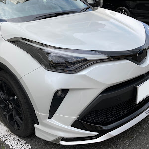 C-HR ZYX11