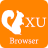 UI Mini Secure Browser icon