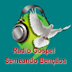 Download Rádio Gospel Semeando Bençãos For PC Windows and Mac 1.0.0