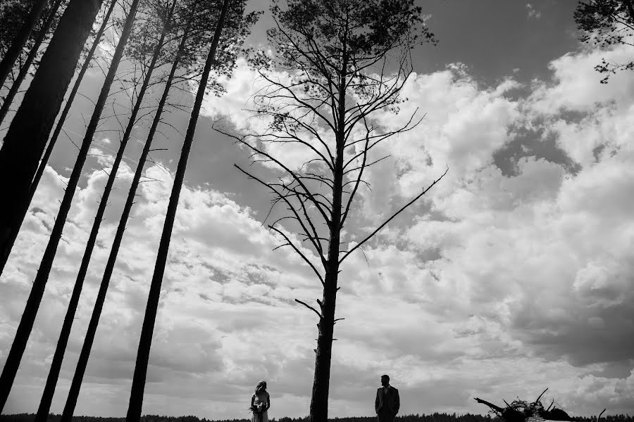 Wedding photographer Dmitriy Kiyatkin (dphoto). Photo of 28 January 2019