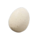 Egg