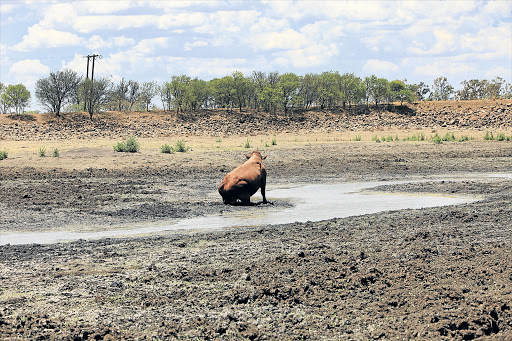 Drought: Eastern Cape towns facing Day Zero