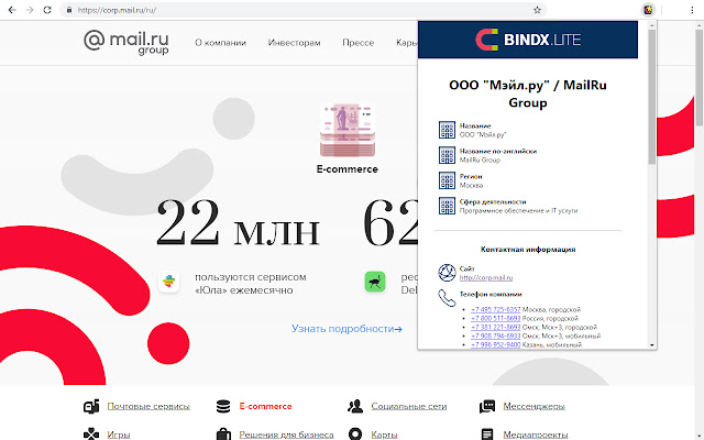 BINDX.Lite — данные о компании по её сайту chrome extension