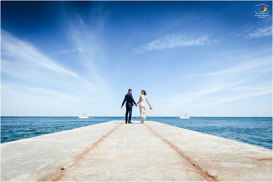 Photographe de mariage Anatoliy Nikolenko (nikolenko). Photo du 10 juin 2017