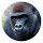 Gorilla HD Wallpapers New Tabs Animals Themes