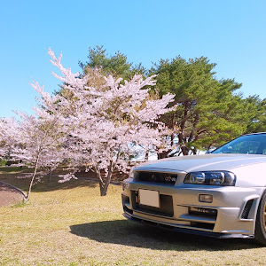 スカイライン GT-R BNR34