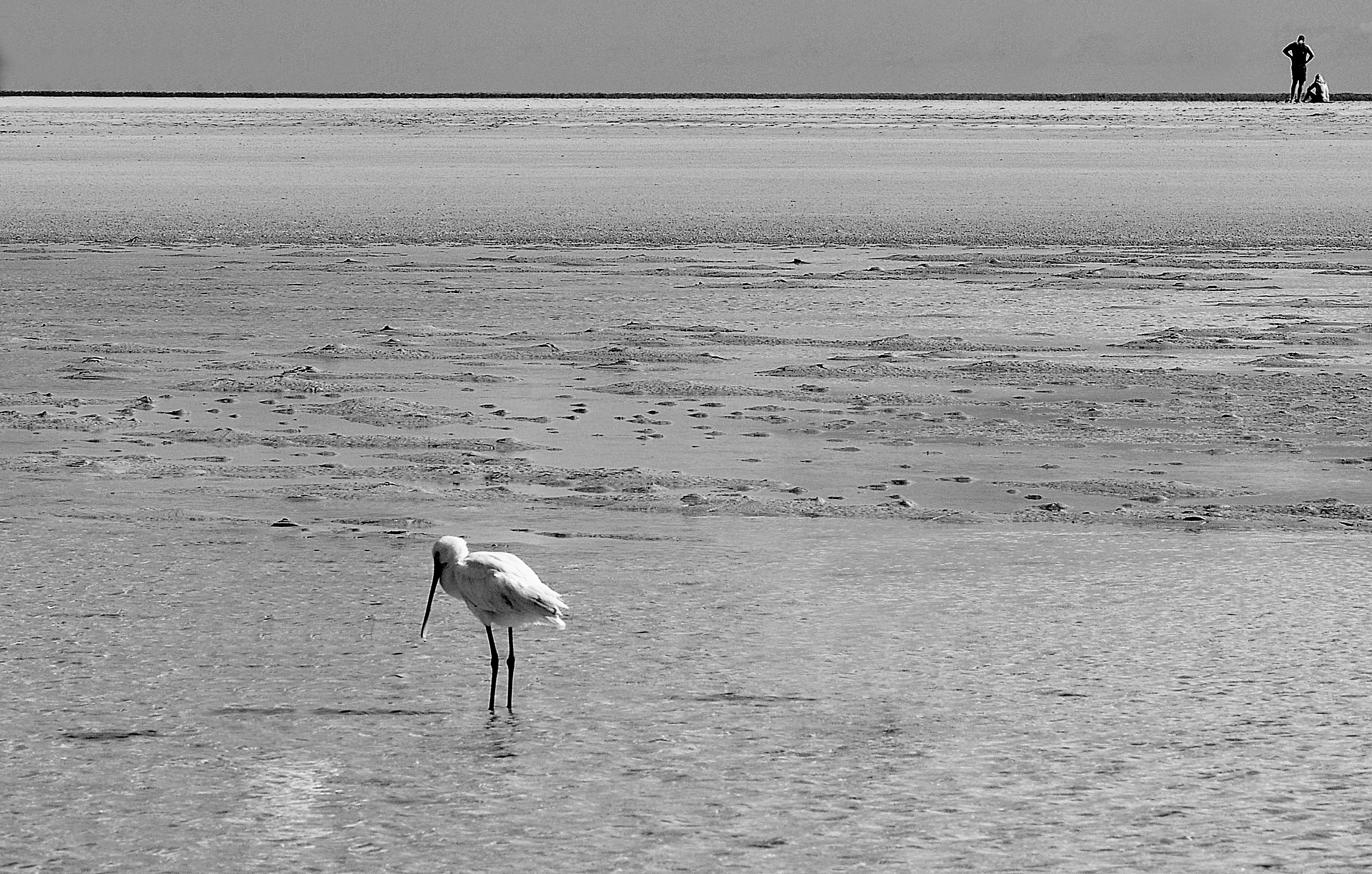 playa blanca di kaos