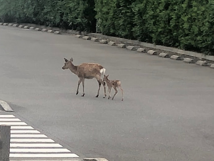 の投稿画像4枚目