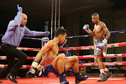 Sivenathi Nontshinga sending Regie Suganob to canvas in the opening round of their bout at the ICC in East London yesterday.