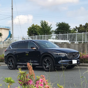 CX-8