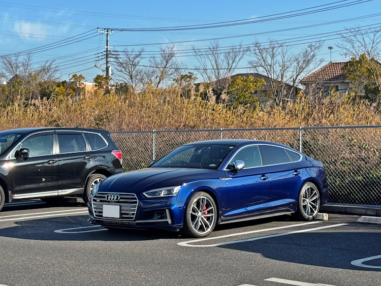 S5 スポーツバックのAudi アウディ・S5 スポーツバック・ナバーラブルーM・KeePerコーティング・オイル交換に関するカスタム事例の投稿画像4枚目