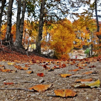 Sentiero d'autunno di 