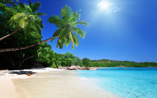 Tropical Beach Live Wallpaper