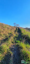 terrain à Lodeve (34)