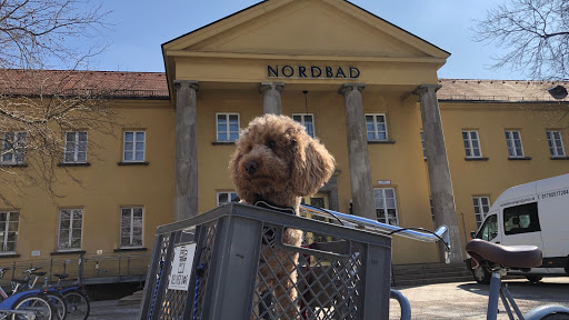 Mit Josie und Lisa im historischen München-Schwabing in München