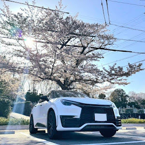 LBX