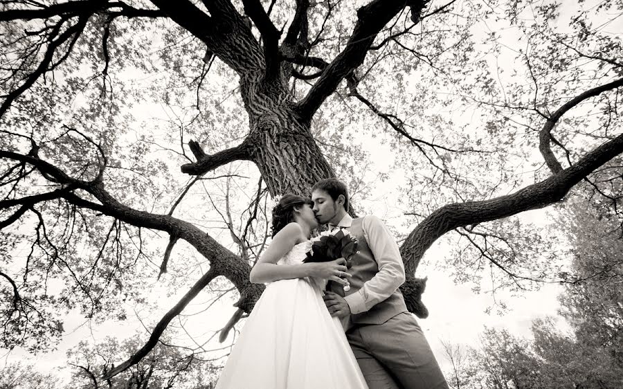Wedding photographer Mariya Strelkova (mywind). Photo of 2 November 2014