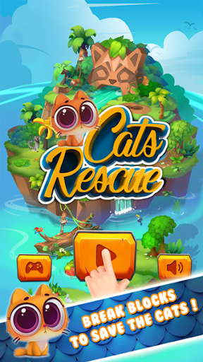 Cat Cartoon Rescue Game