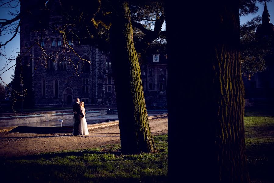 結婚式の写真家Magdalena Korzeń (korze)。2016 5月12日の写真