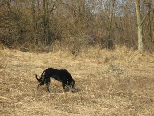 IMG_4129.JPG