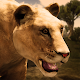 Download Ultimate Lioness Simulator For PC Windows and Mac 0.1