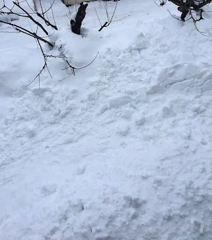 雪がヤバイ