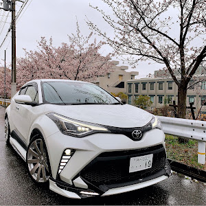 C-HR NGX10