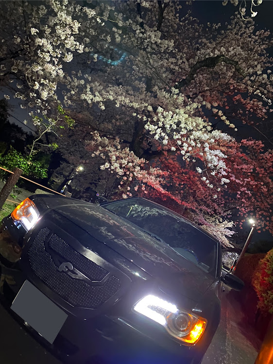 300の#アメ車・桜とコラボ・lx36・夜桜に関するカスタム事例の投稿画像1枚目