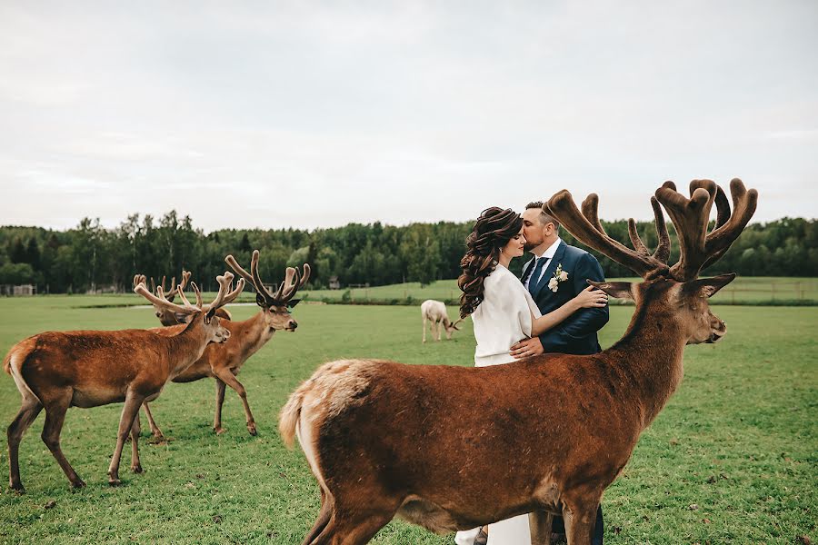 Fotografo di matrimoni Darya Mitina (daryamitina). Foto del 13 agosto 2019